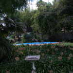 DSCF4815