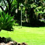 Garden3